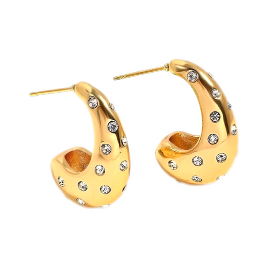 Studded Bottega Earring